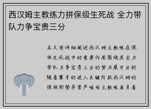 西汉姆主教练力拼保级生死战 全力带队力争宝贵三分